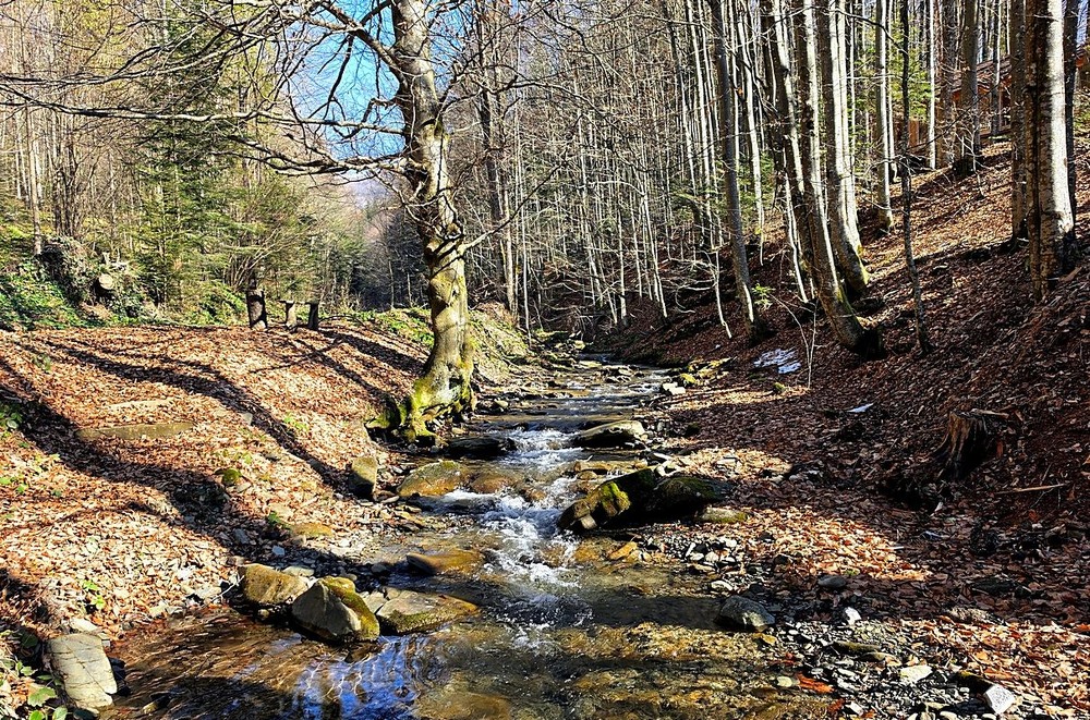 Фотографія Путешествие / Віталій Шафранський / photographers.ua