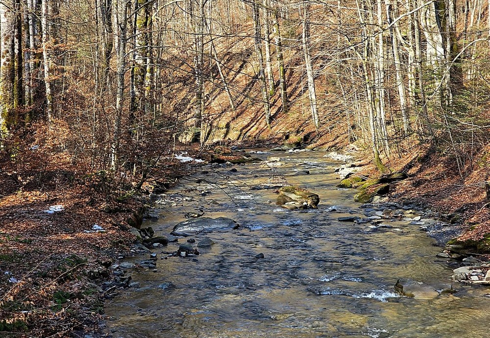 Фотографія Путешествие / Віталій Шафранський / photographers.ua