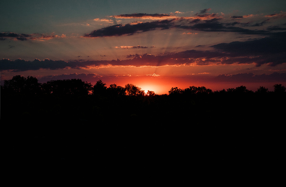 Фотографія *** / Katya_Yo / photographers.ua