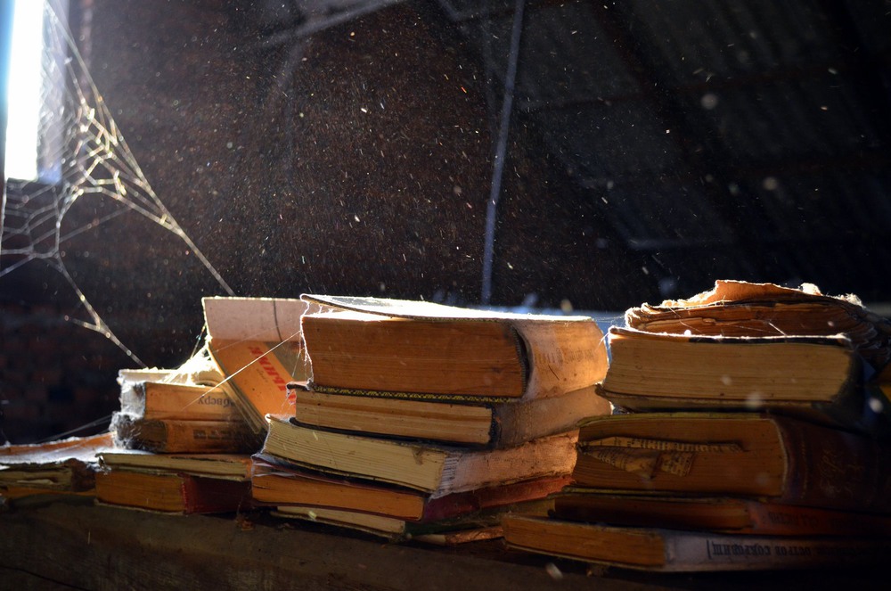 Фотографія Wonderland of Books / Oksana Erstenyuk / photographers.ua