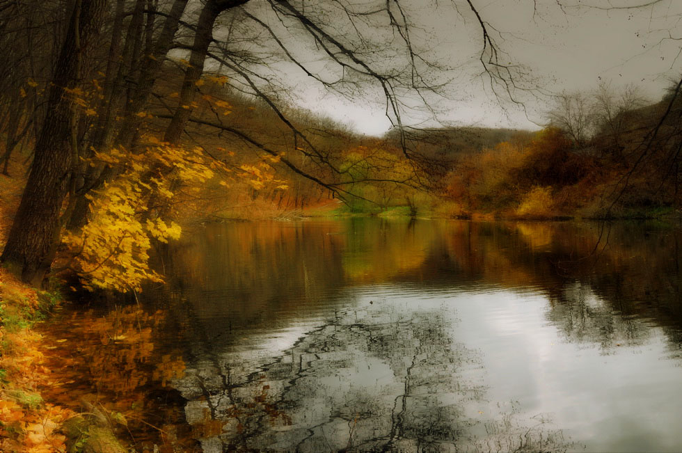 Фотографія Пейзаж / K.V.K. / photographers.ua