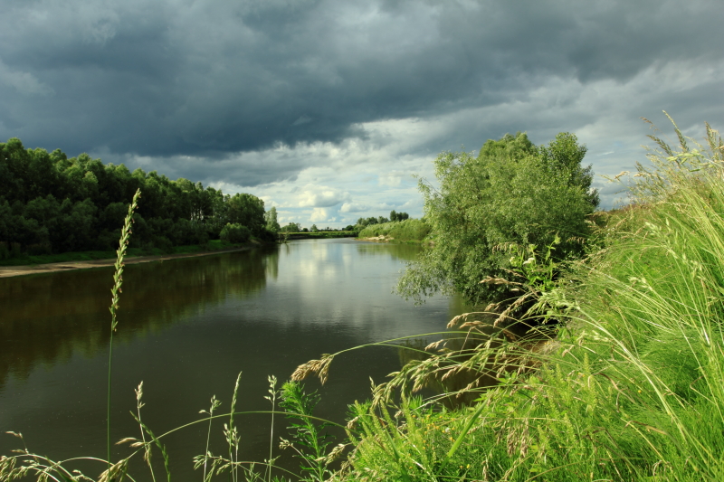 Фотографія туча, река, трава / Александр В.C. / photographers.ua