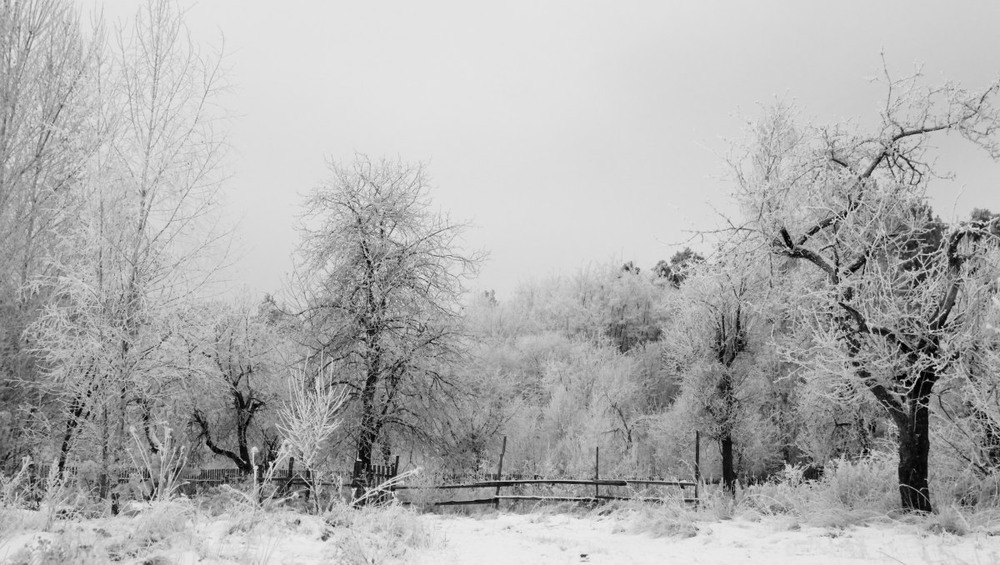 Фотографія зимний наряд / Александр В.C. / photographers.ua