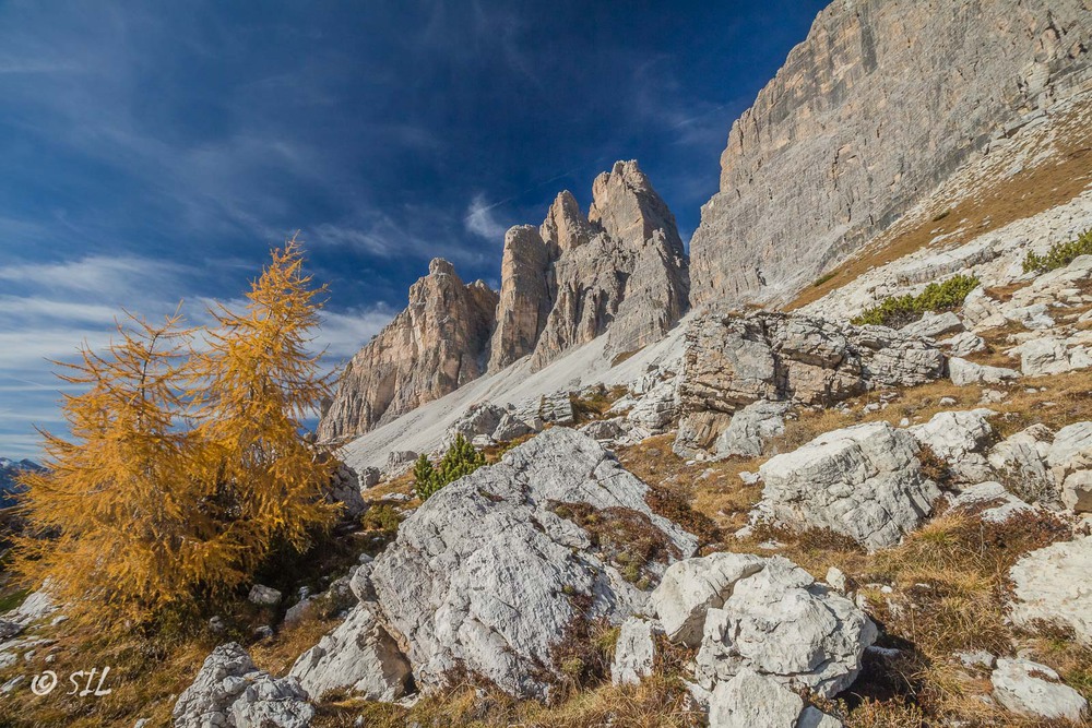 Фотографія Осенее золото / ilyasin / photographers.ua