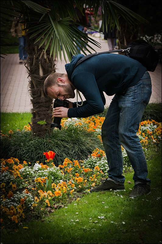 Фотографія Снимаем цветы! / Владимир Запорожец / photographers.ua