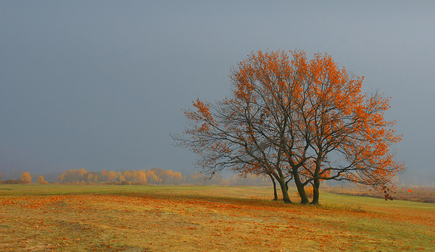 Фотографія Пейзаж / Виктория Клаус / photographers.ua