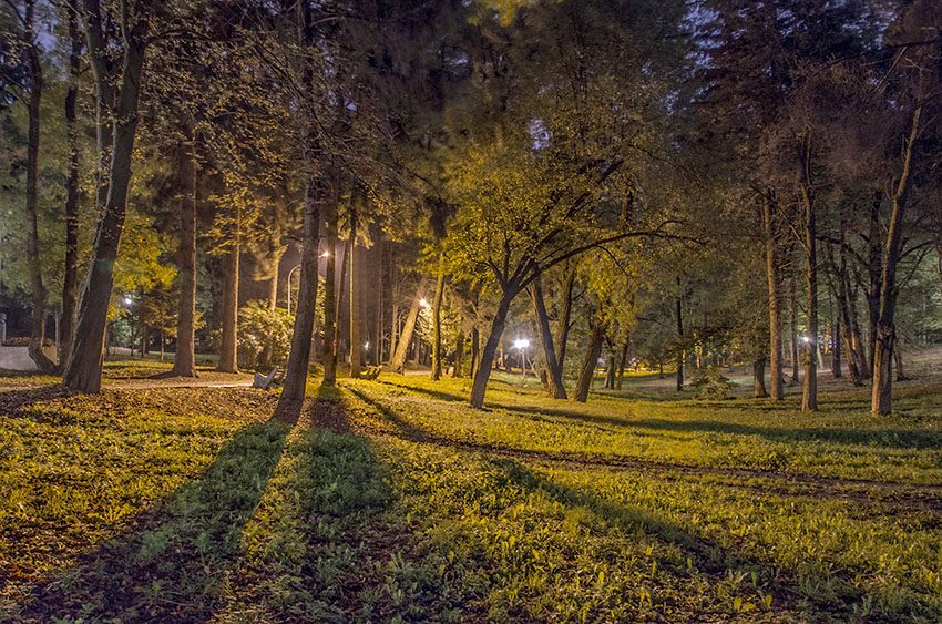 Фотографія Спит заколдованный сказкою лес... / Павел Лебедев / photographers.ua