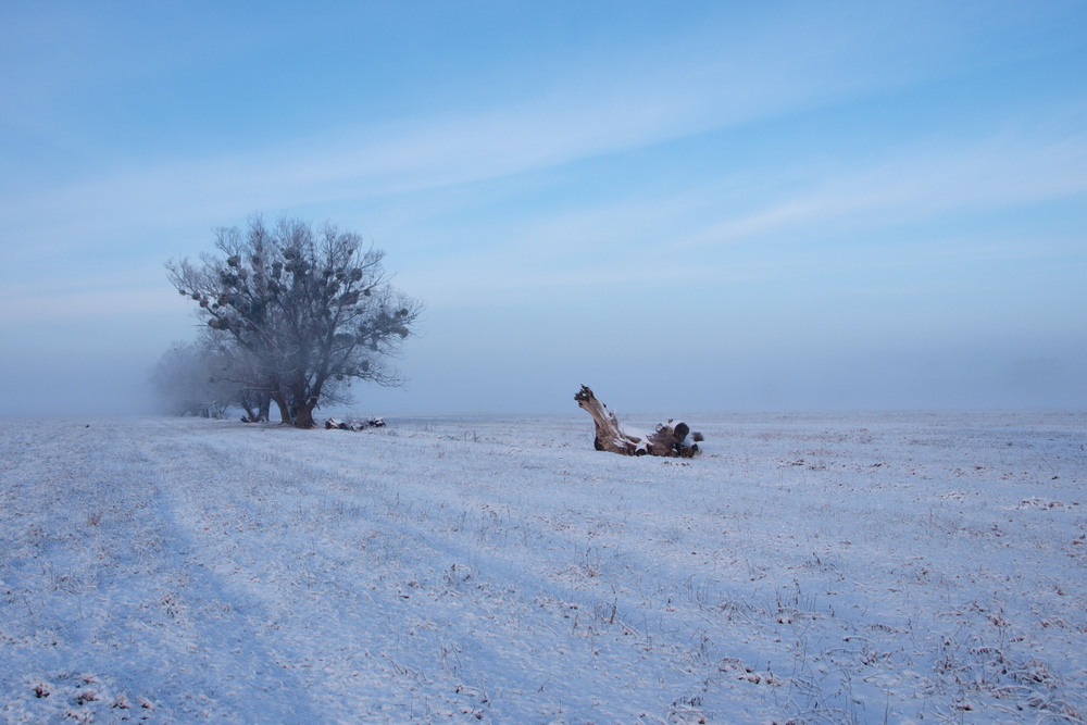 Фотографія Туман уходит! / Лысенко Владимир / photographers.ua