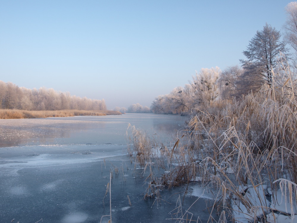 Фотографія Вспоминая о зиме. / Лысенко Владимир / photographers.ua
