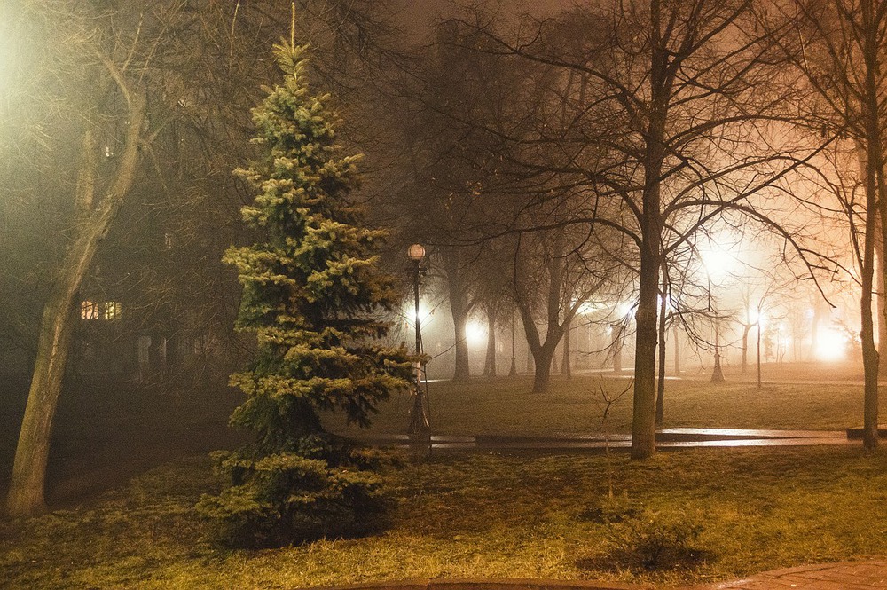Фотографія Сквер в тумане / Roman Romanenko / photographers.ua