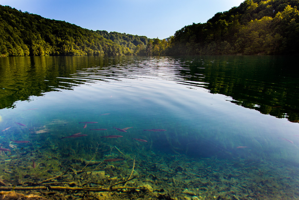Фотографія Плитвицкие озера Хорватия / Виталий Гуня / photographers.ua