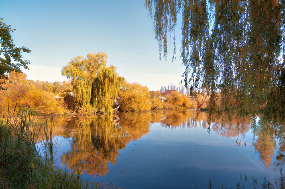 Фотографія Подняв занавес... / Юлия Юрьева / photographers.ua