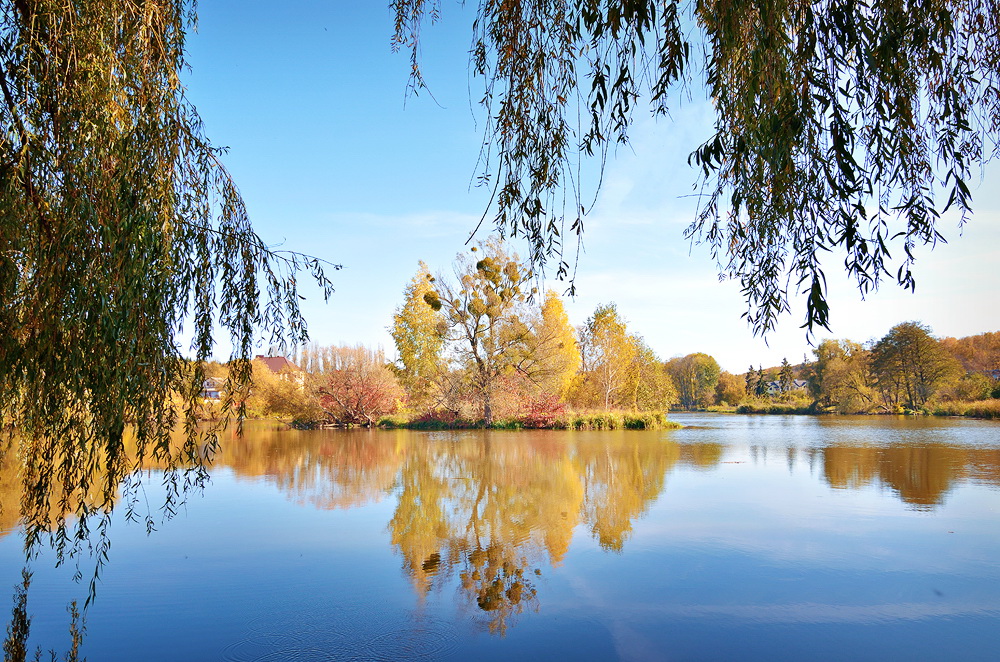 Фотографія Природа принарядилась / Юлия Юрьева / photographers.ua