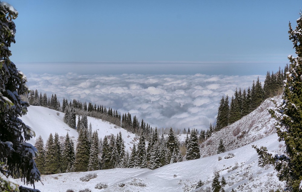 Фотографія Поднимаясь в горы... / Сергей Мурзин / photographers.ua