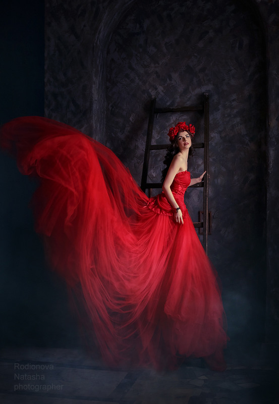 Фотографія "Red rose" / Наташенька Родионова / photographers.ua