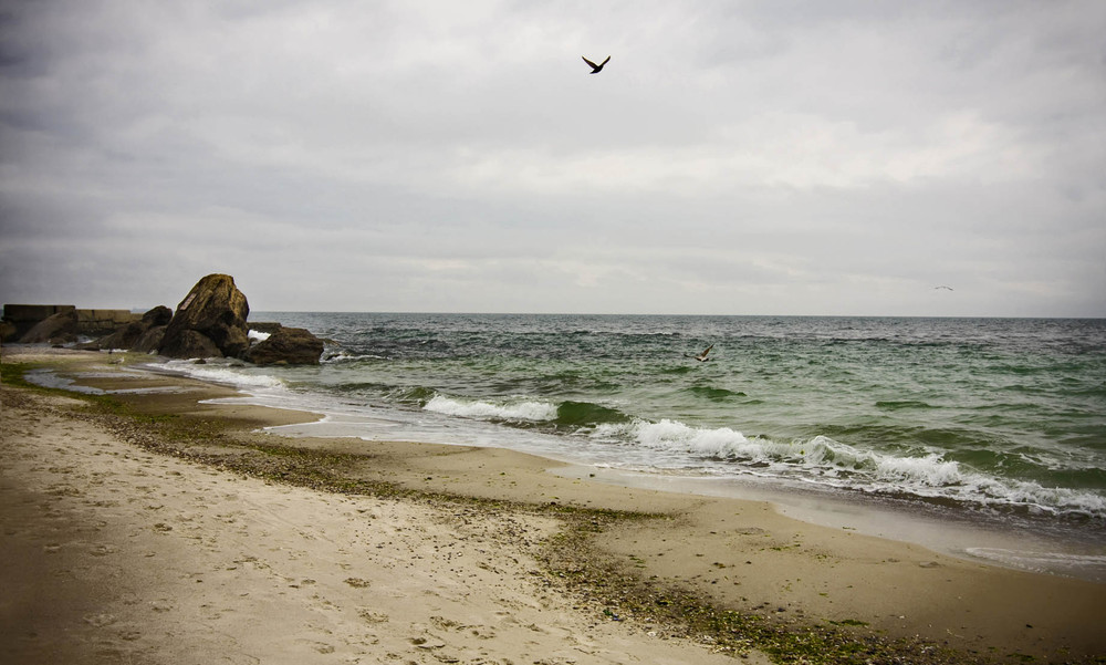 Фотографія Рисует море на песке узоры безмятежья.. / Жанна Головачева / photographers.ua