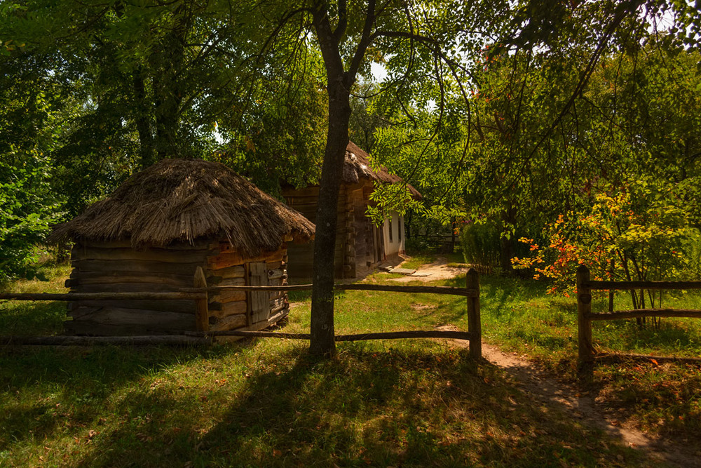 Фотографія Ещё по летнему... / Юрась / photographers.ua