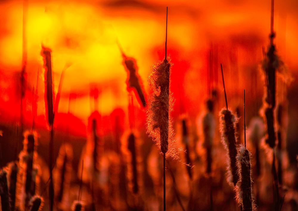 Фотографія Разное / Юрась / photographers.ua