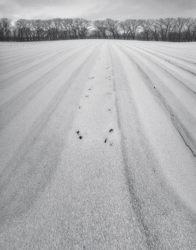 Фотографія Пейзаж / Александр Чумачкин / photographers.ua