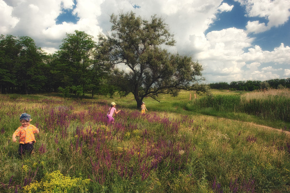 Фотографія Цветочная поляна / Александр Чумачкин / photographers.ua