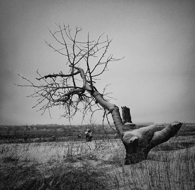 Фотографія Пейзаж / Александр Чумачкин / photographers.ua