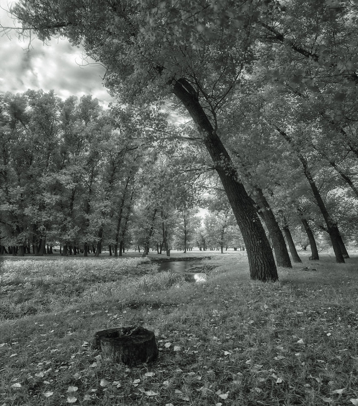 Фотографія Пейзаж / Александр Чумачкин / photographers.ua