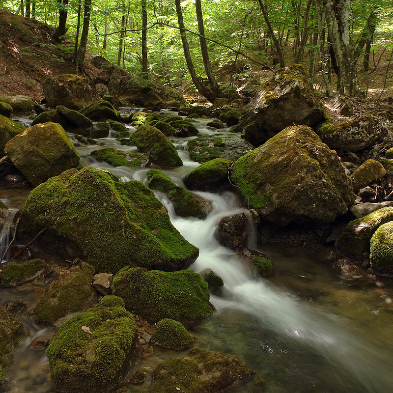 Фотографія Пейзаж / Александр Чумачкин / photographers.ua