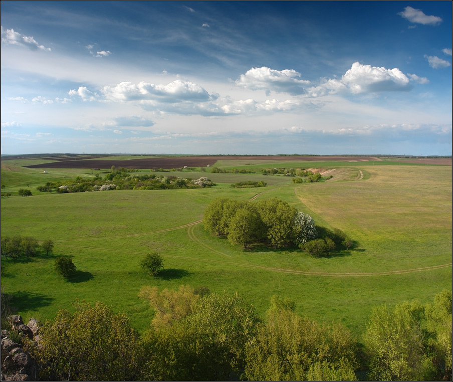 Фотографія Весна в степи... / Александр Чумачкин / photographers.ua