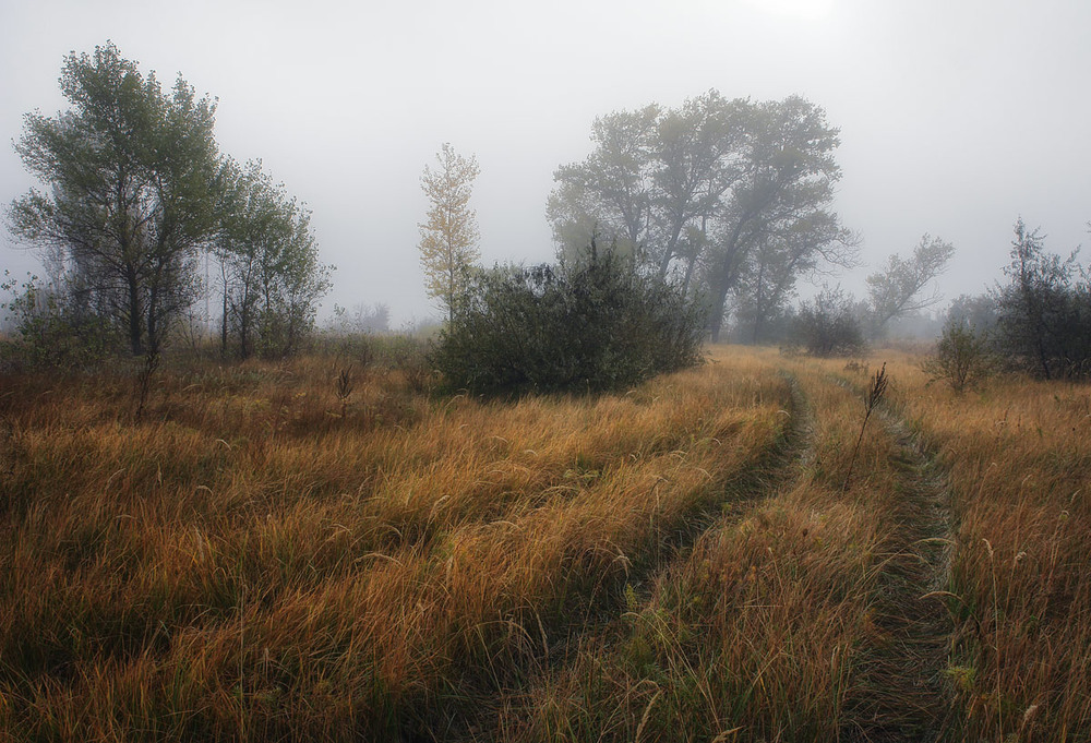 Фотографія Пейзаж / Александр Чумачкин / photographers.ua