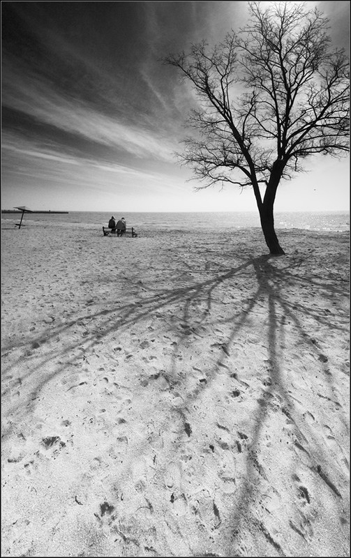 Фотографія Весеннее солнце. / Александр Чумачкин / photographers.ua