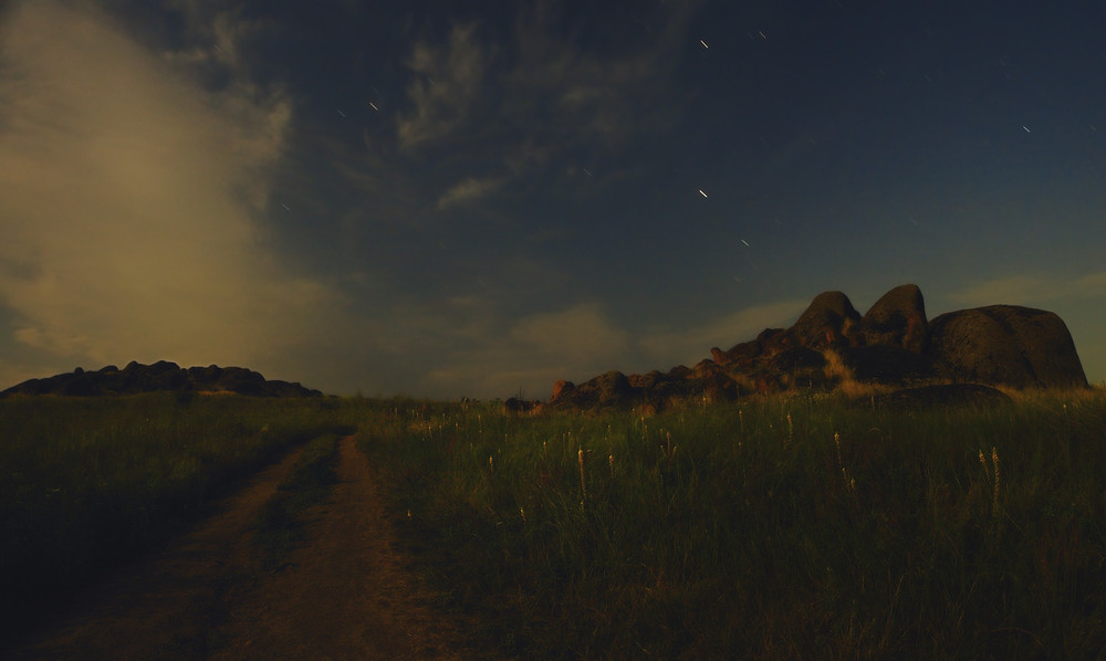 Фотографія Лунная ночь в степи... / Александр Чумачкин / photographers.ua
