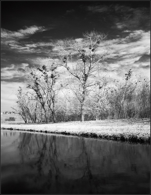 Фотографія Грачиная роща. / Александр Чумачкин / photographers.ua