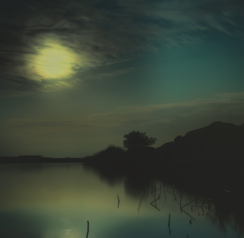 Фотографія Лунная ночь на пруду / Александр Чумачкин / photographers.ua