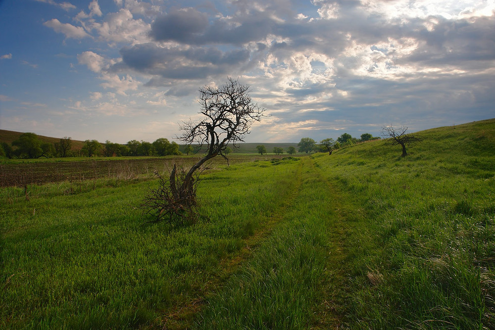 Фотографія Пейзаж / Александр Чумачкин / photographers.ua