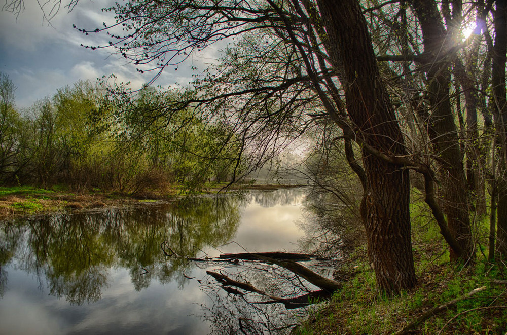 Фотографія Рассвет на реке... / Demidov Vitaliy / photographers.ua