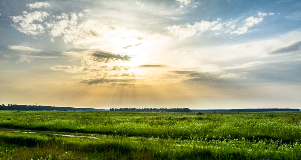 Фотографія Rays from heaven / Богдан Щавинский / photographers.ua