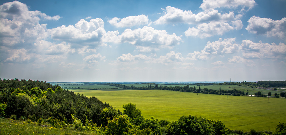 Фотографія Подільскі товтри / Богдан Щавинский / photographers.ua