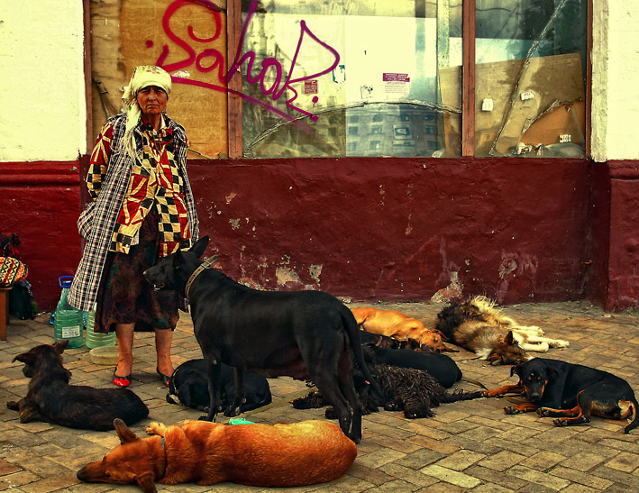 Фотографія Жители улиц... / Katruk Dvoeglazova / photographers.ua