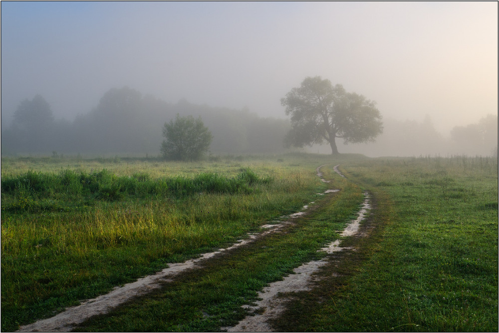 Фотографія Ніжний ранок / Роман Зинченко / photographers.ua