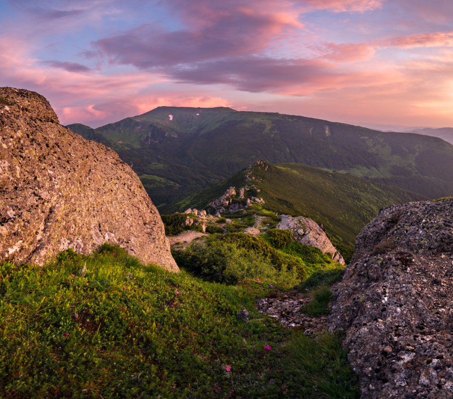 Фотографія *** / Роман Зинченко / photographers.ua