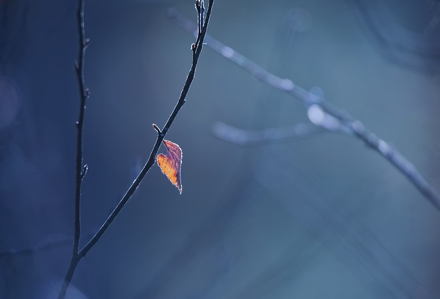 Фотографія Опять запахло осенью / Марина Мищенко / photographers.ua