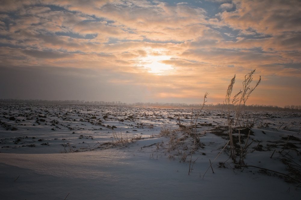 Фотографія Мороз и солнце... / Анастасия Беседина / photographers.ua