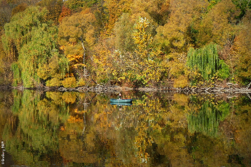 Фотографія Осінь'19, Україна / Autumn'19, Ukraine / GreGor'y / photographers.ua