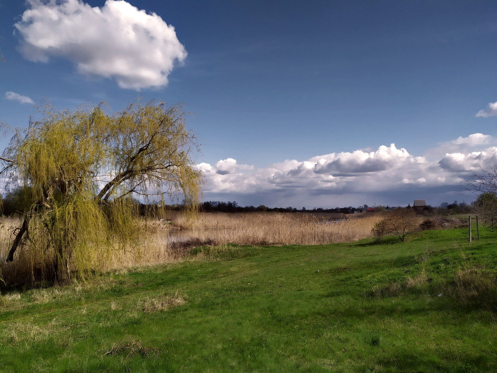 Фотографія Пейзаж / LVL / photographers.ua