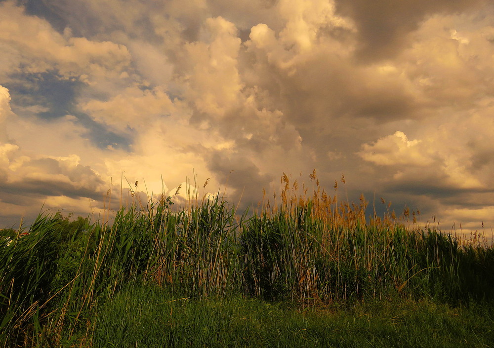 Фотографія Пейзаж / LVL / photographers.ua