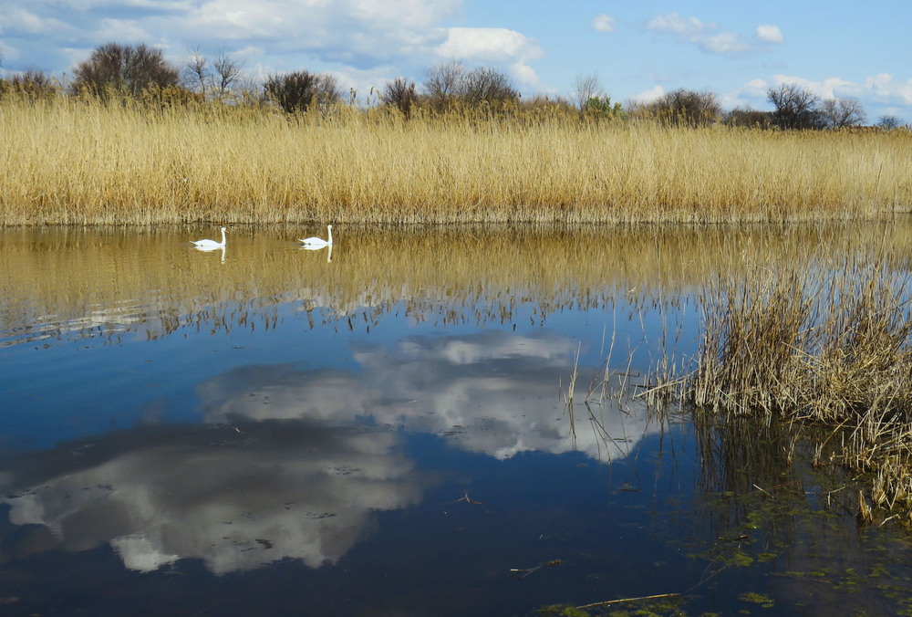 Фотографія Пейзаж / LVL / photographers.ua