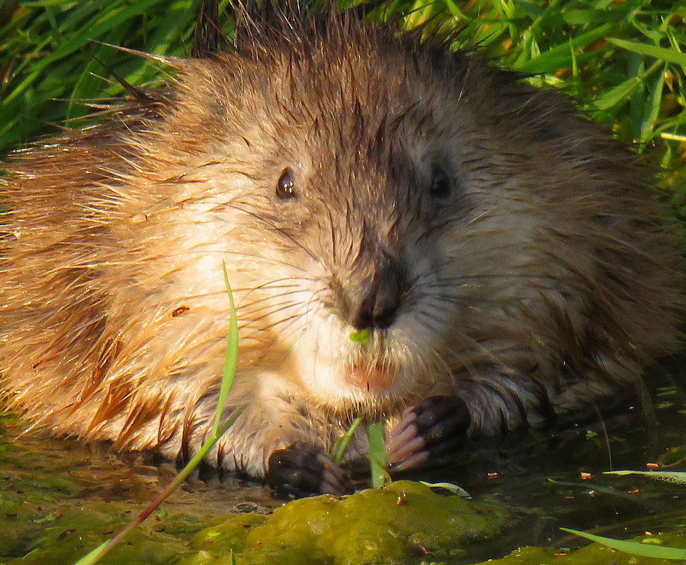 Фотографія вечеря / LVL / photographers.ua