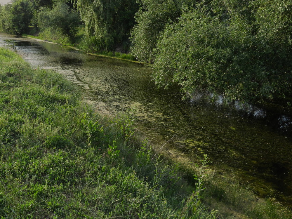 Фотографія зелена дорога / LVL / photographers.ua