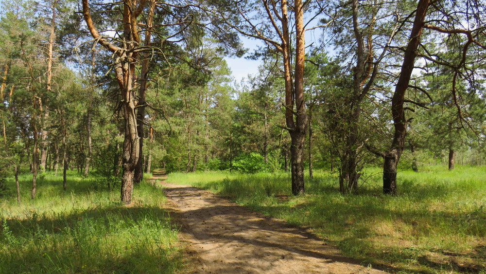 Фотографія Пейзаж / LVL / photographers.ua