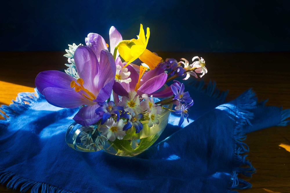 Фотографія Полная чаша весны / Адель (Інна Романюк) / photographers.ua